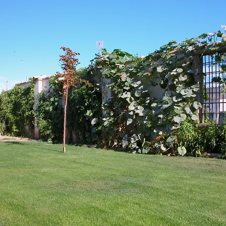 Chicos De Y Restaurante * Lastanosa