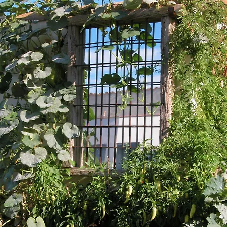 Chicos De Y Restaurante Landhaus *
