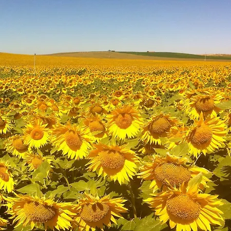 Chicos De Y Restaurante Landhuis Lastanosa