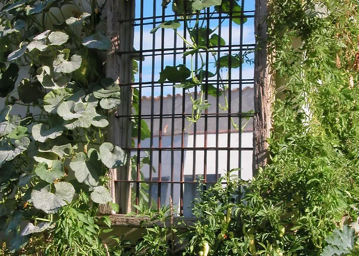 Chicos De Y Restaurante Εξοχικό σπίτι *