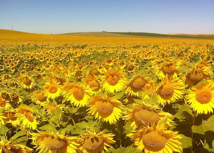 Chicos De Y Restaurante Εξοχικό σπίτι Lastanosa